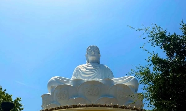 Vượt 600 bậc thang chiêm bái tượng Phật khổng lồ ở Bình Định
