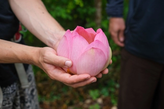 Có nên gọi hồn để biết hương linh đã siêu thoát hay chưa?-0